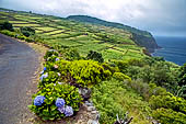 Azzorre, Isola Terceira - Escursione Mata da Serreta. 